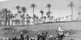 Viaggio in Oriente a Casa Martelli 1398 0 Viaggio in Oriente. Fotografie dall’Africa a Casa Martelli